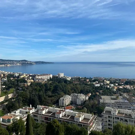 Beautiful Pool & Garage View